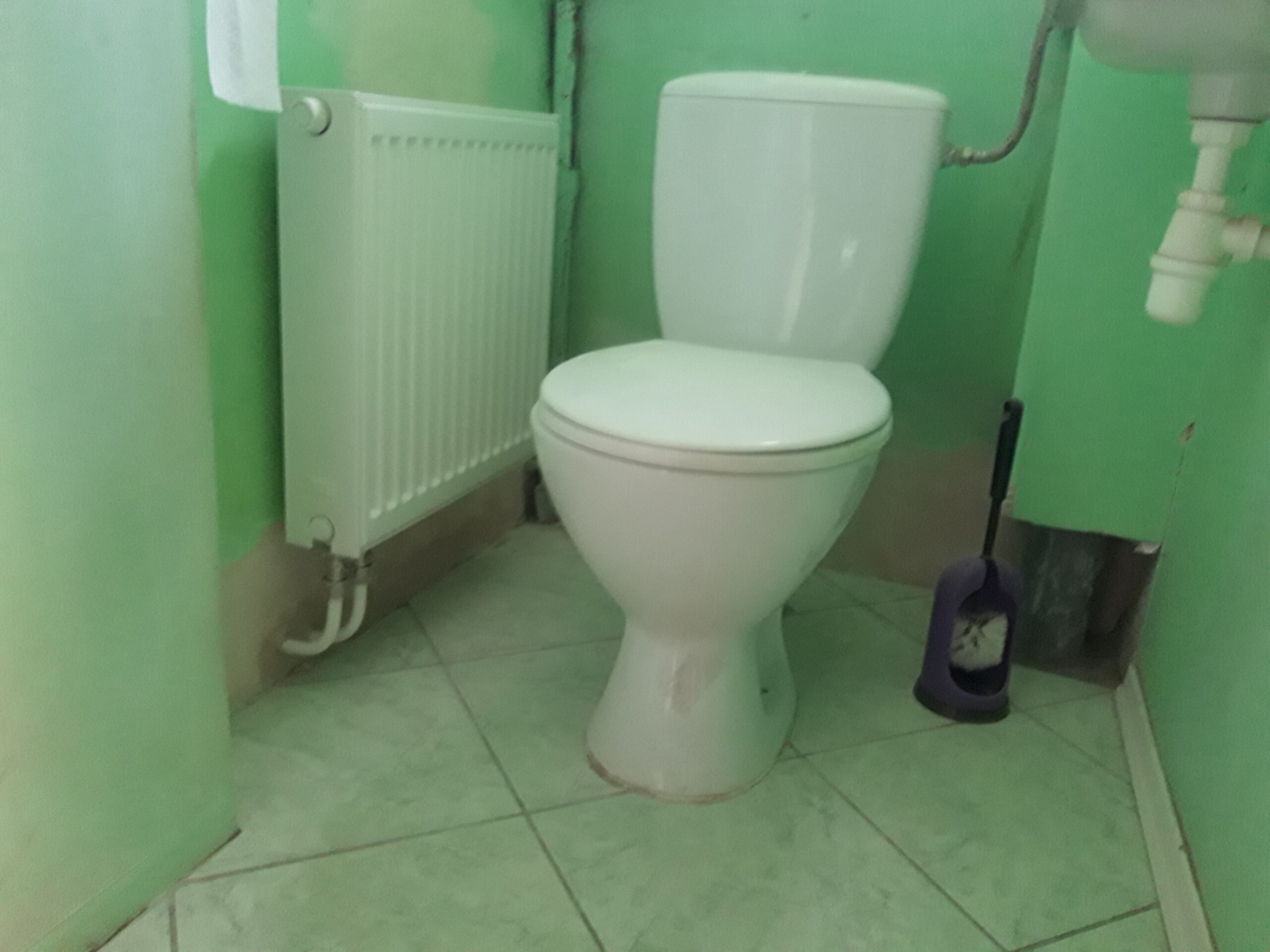 Niewielkie pomieszczenie sanitarne z białą toaletą, grzejnikiem ściennym i zielonymi ścianami, pokazujące prosty i funkcjonalny układ wnętrza.