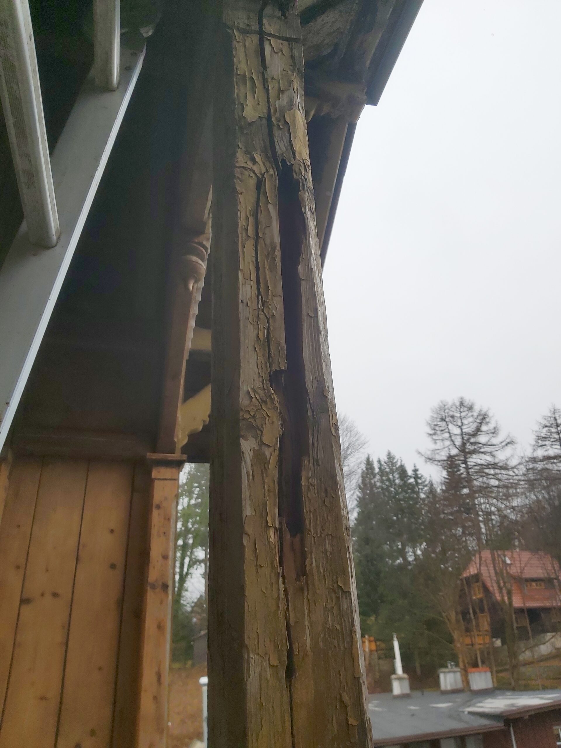 Pionowy drewniany słup balkonu z widocznym rozwarstwieniem i zaawansowaną zgnilizną drewna podczas prac remontowych.