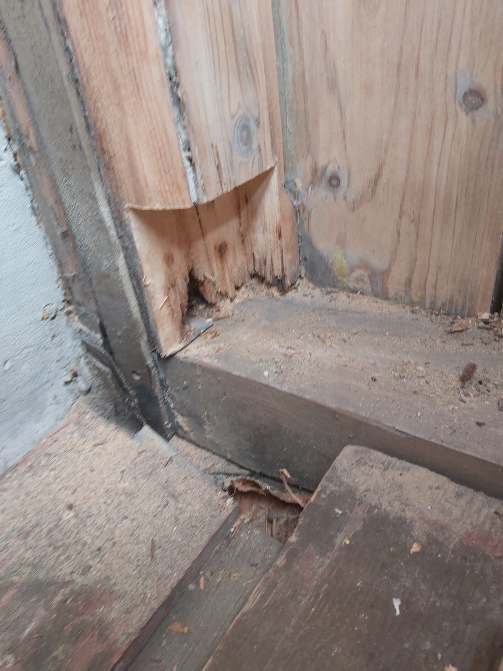 Zbliżenie na zniszczony fragment drewnianej okładziny przy podłodze, z widocznym ubytkiem drewna i śladami degradacji materiału w narożniku.